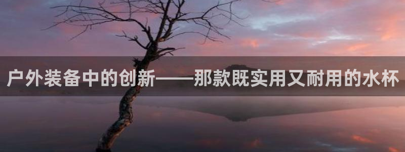 新宝gg网娱乐