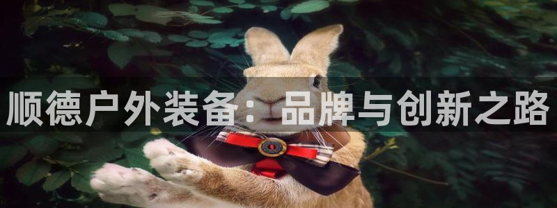 新宝GG反点