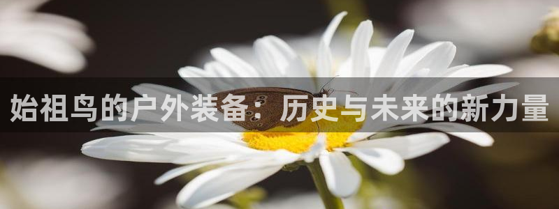 新宝gg好吗