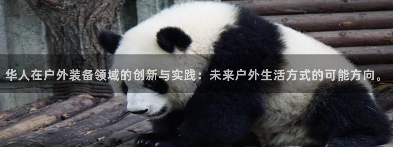 新宝gg有规律么