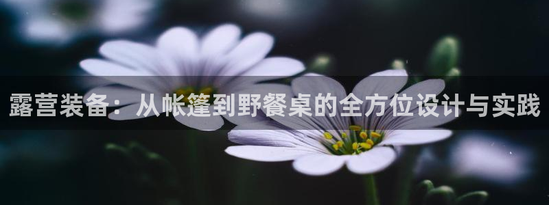 新宝gg申请账号