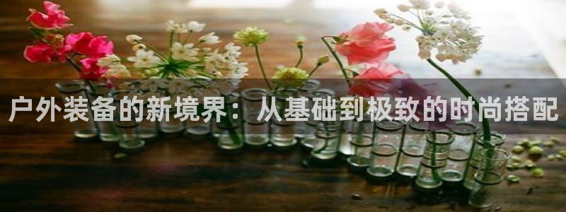 新宝gg网投