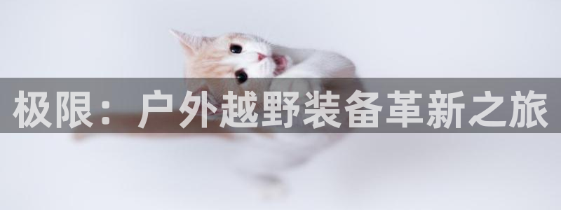 新宝gg画