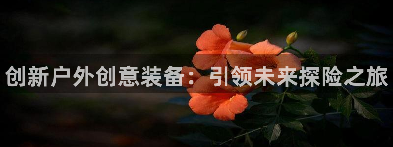 新宝gg客户端下载