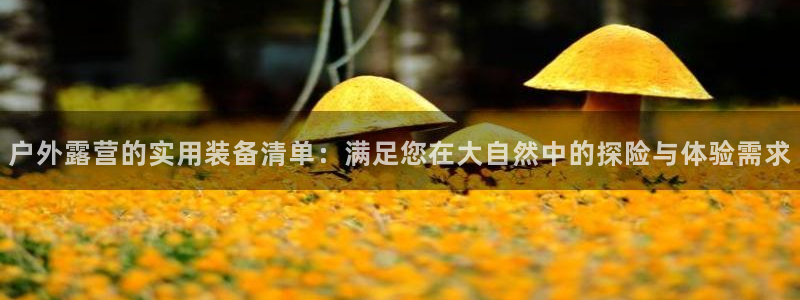 新宝Gg测速地址