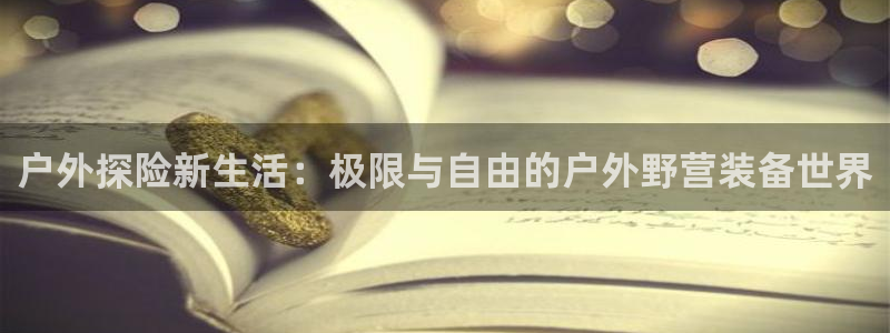 新宝Gg测速地址