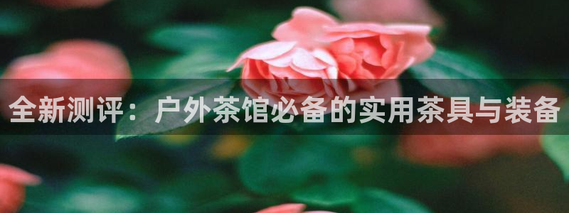 新宝gg佣金