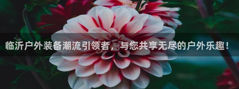 新宝gg娱乐主管q42873