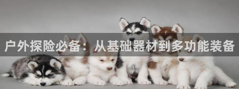 菲律宾新宝gg娱乐