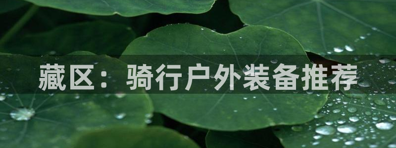 新宝gg开好