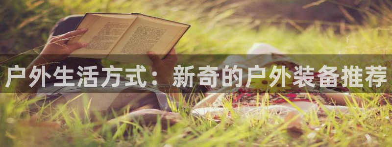 新宝gg代理注册