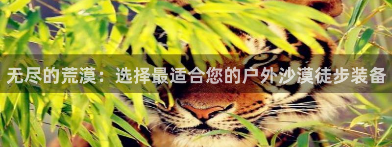 新宝gg平台开发