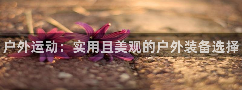新宝gg手机