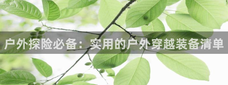 认准新宝gg