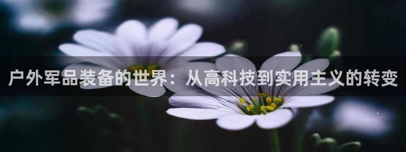 创造奇迹新宝gg