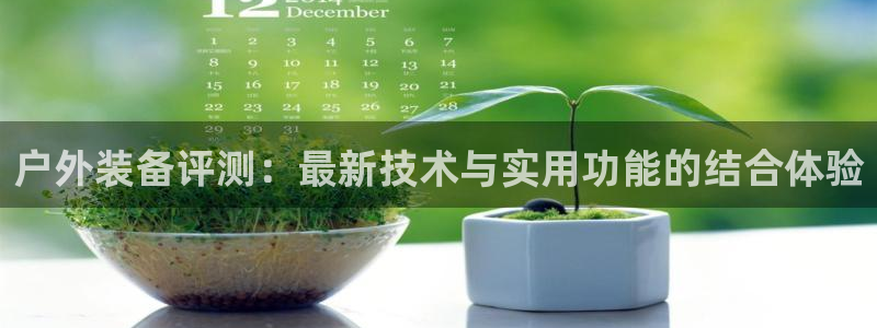 新宝gg龙虎规则