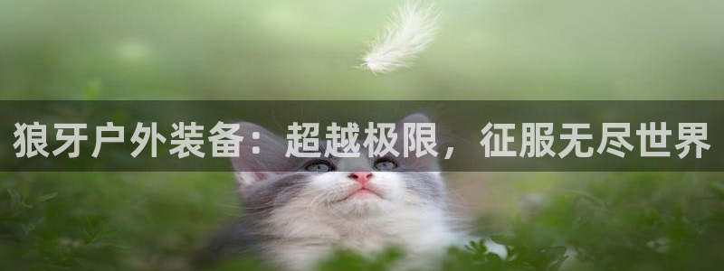 新宝gg平台反水