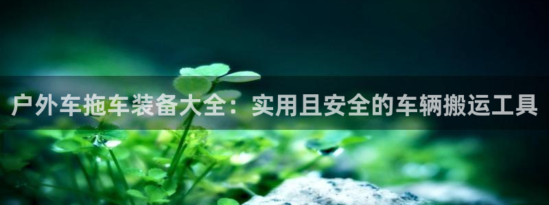 新宝GG 扣.772332