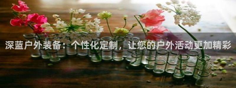 新宝gg龙腾