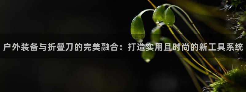 新宝gg网投