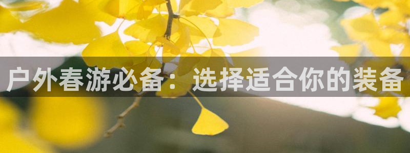 新宝gg 网址