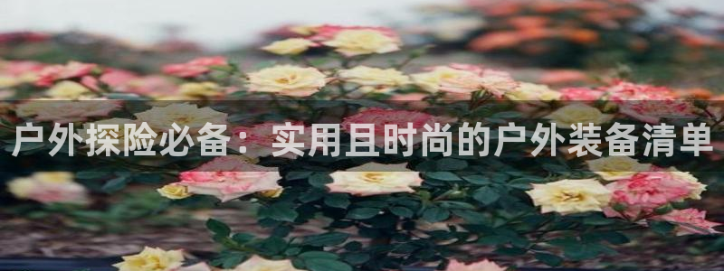 新宝gg至55312