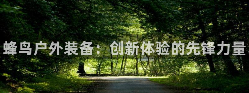 新宝gg登录链接