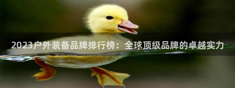 新宝gg 黑