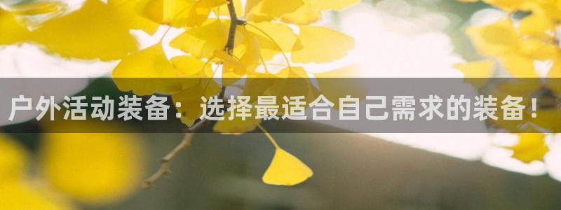 新宝皇冠gg