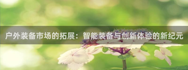 新宝gg龙虎规则