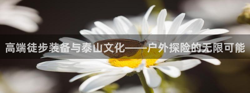 新宝gg平台开户