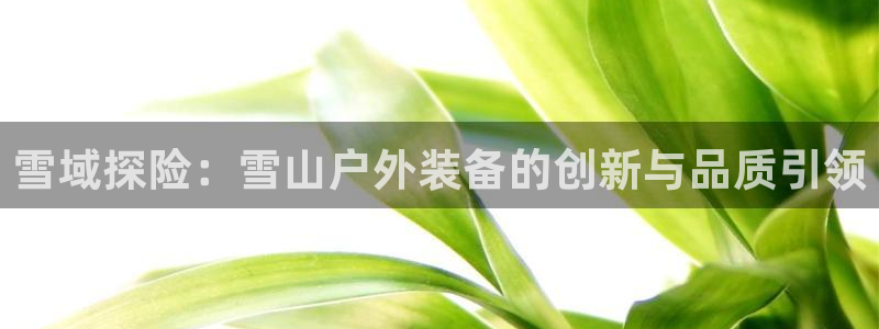 新宝gg总部