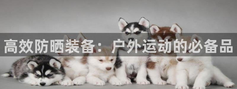 新宝gg总部
