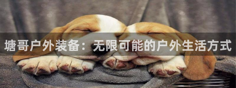 新宝六与新宝gg