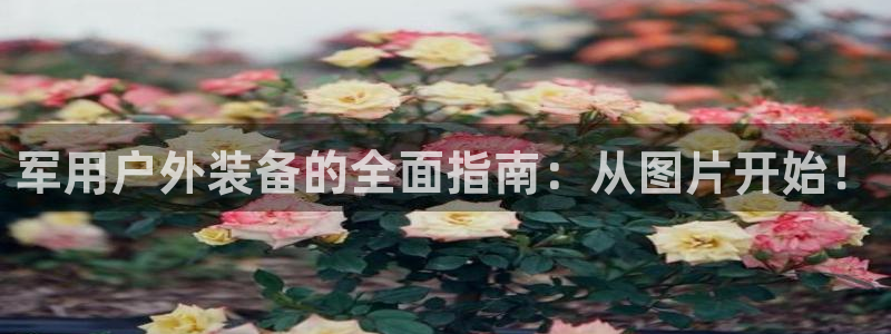 新宝gg