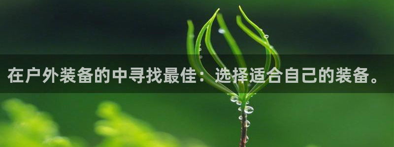 新宝GG反点