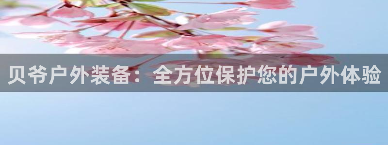 新宝gg官方下载