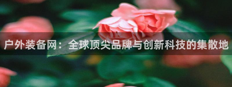 新宝gg平台怎么样