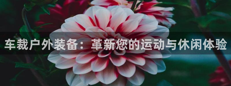 新宝gg网站