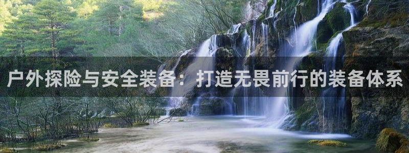 广东新宝电器gg