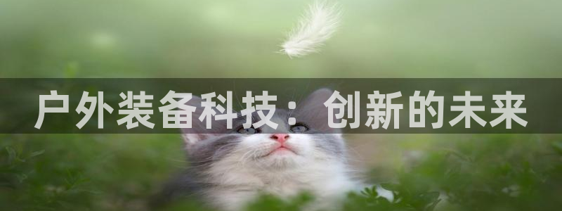 创造奇迹 新宝gg