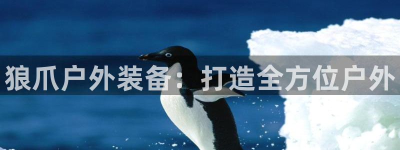 新宝gg主