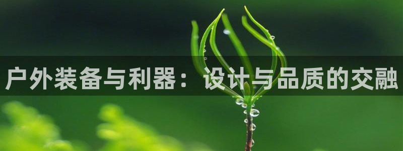 广东新宝电器gg