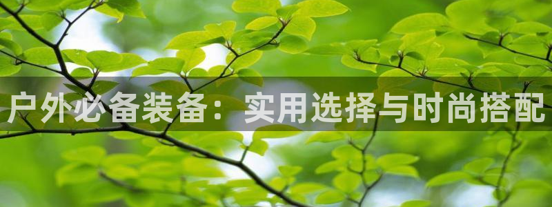 百度新宝gg