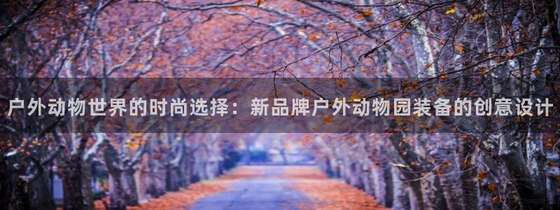 新宝gg运营88383