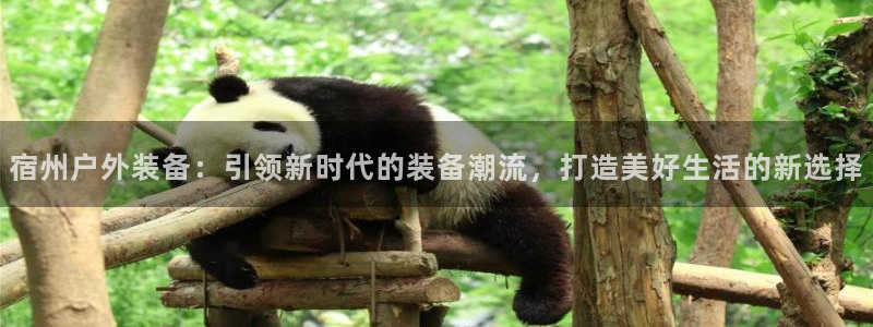 新宝gg代理登录