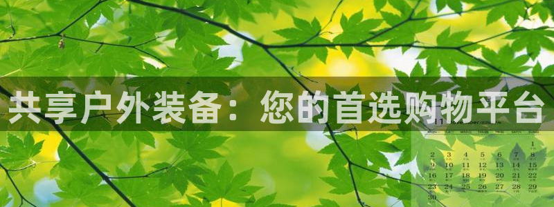 新宝gg系列