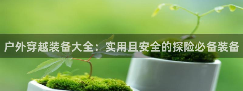 新宝gg属于