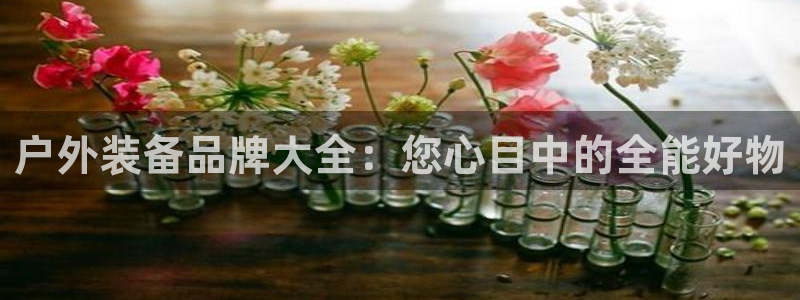 新宝gg如何代理