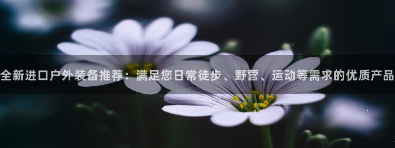 新宝gg盈亏